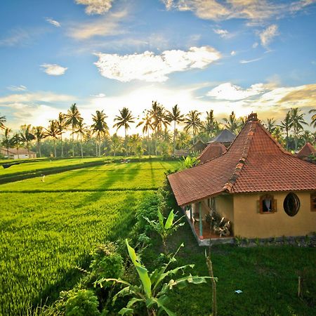 Dragonfly Village Ubud  Ngoại thất bức ảnh