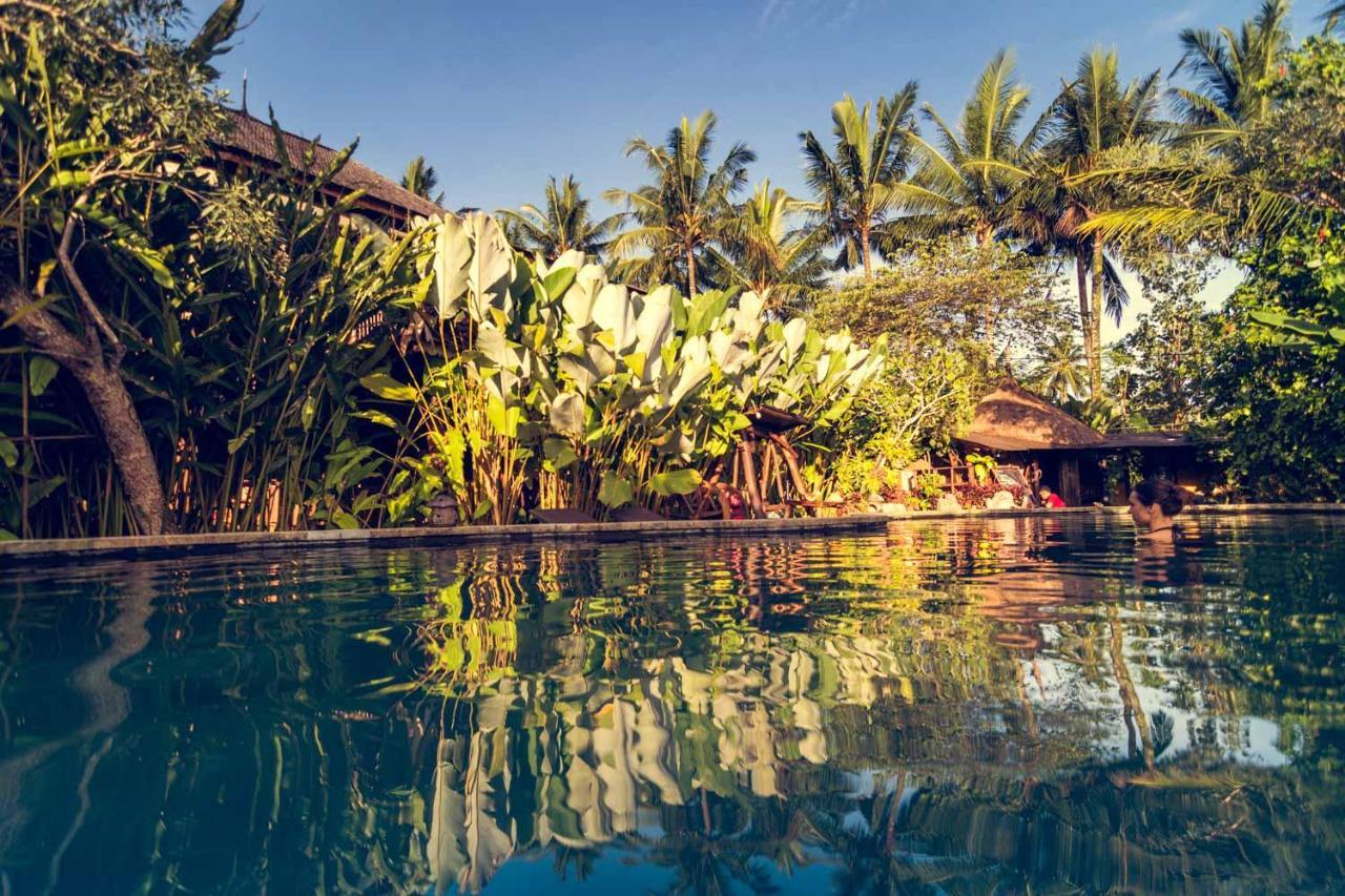 Dragonfly Village Ubud  Ngoại thất bức ảnh