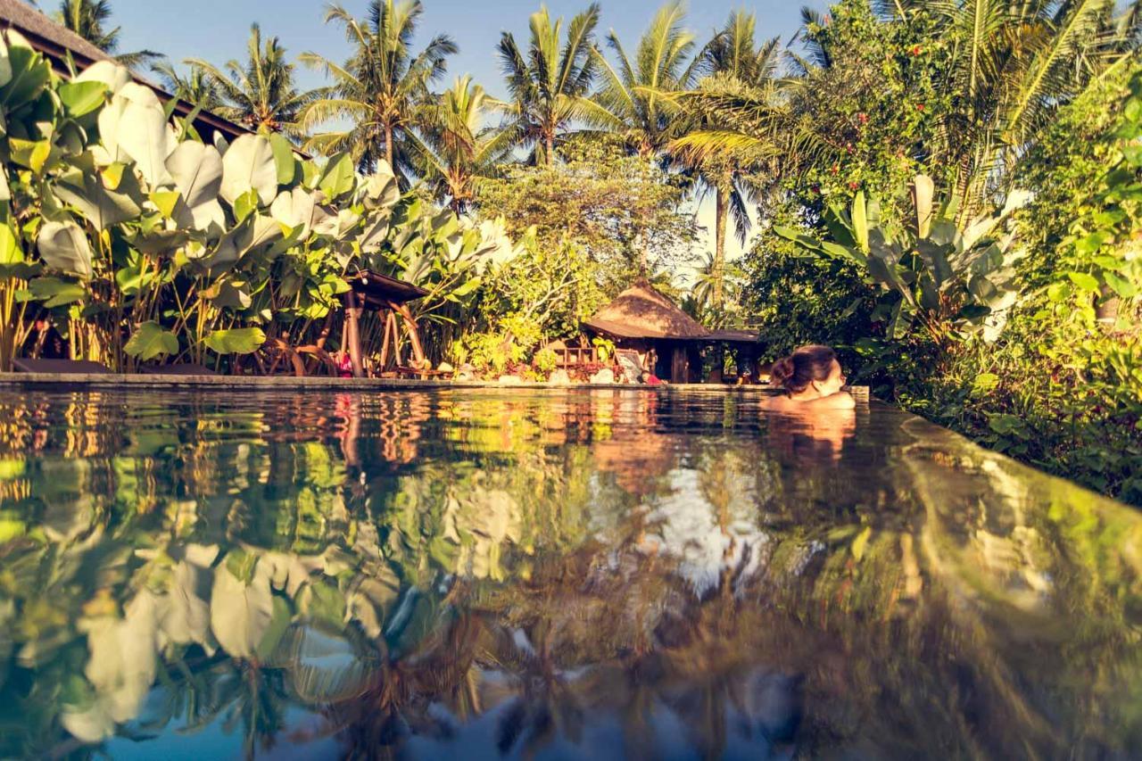 Dragonfly Village Ubud  Ngoại thất bức ảnh