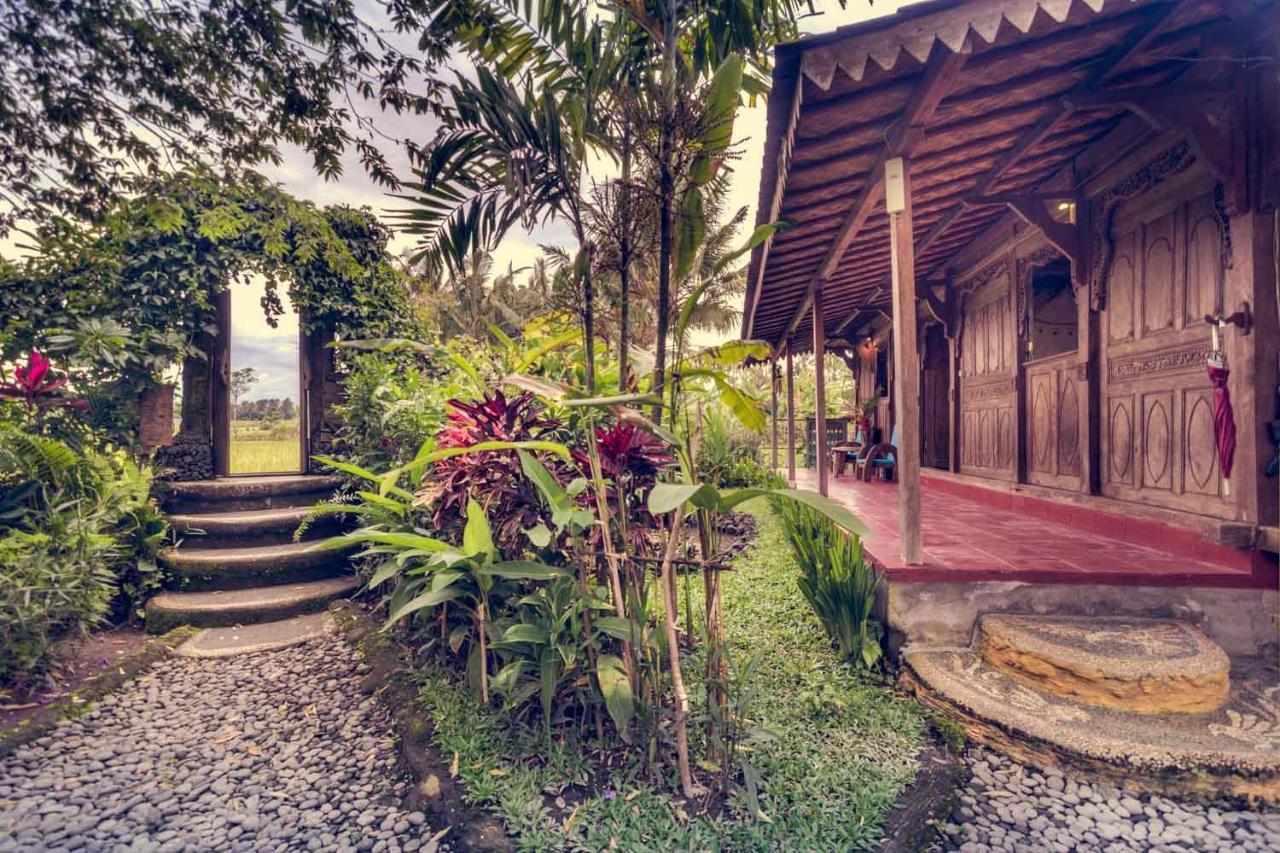 Dragonfly Village Ubud  Ngoại thất bức ảnh