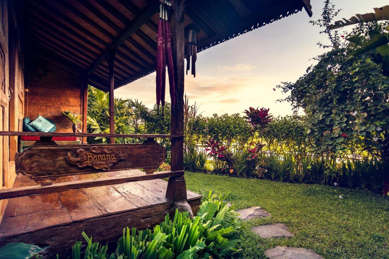 Dragonfly Village Ubud  Ngoại thất bức ảnh