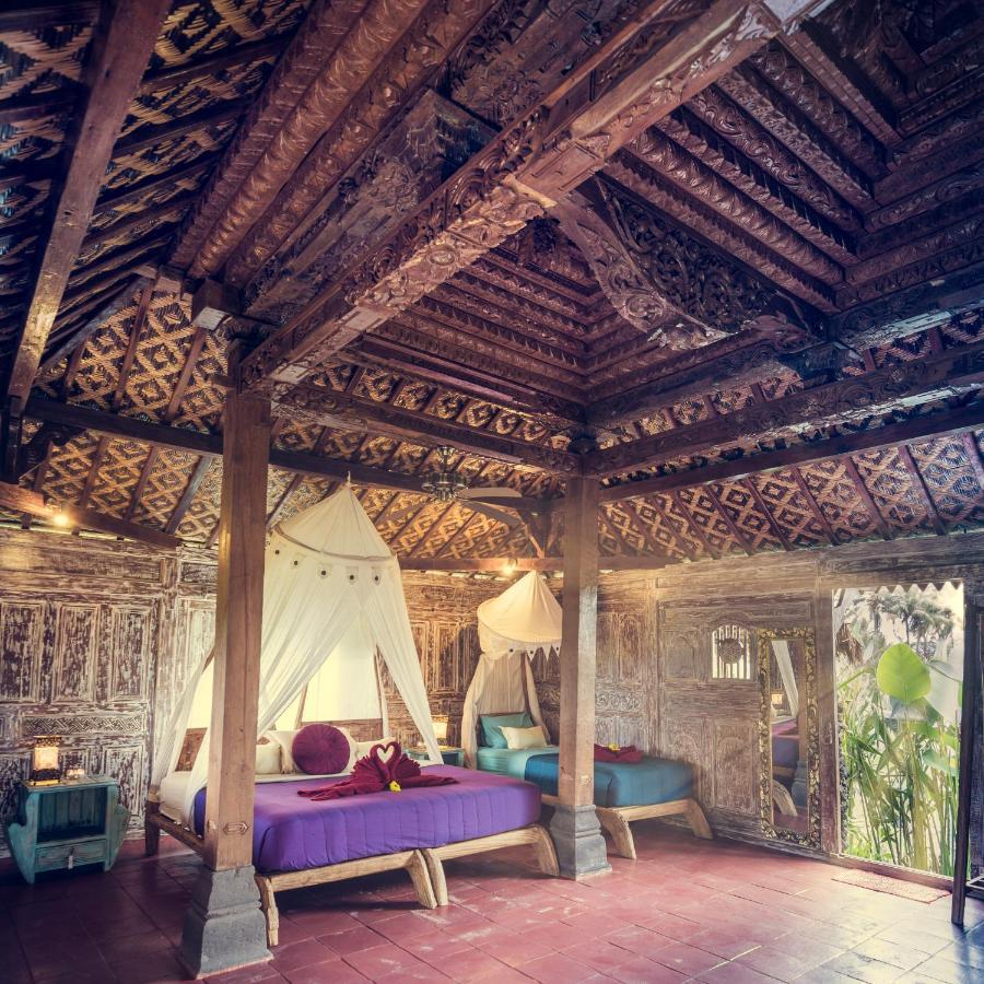 Dragonfly Village Ubud  Ngoại thất bức ảnh