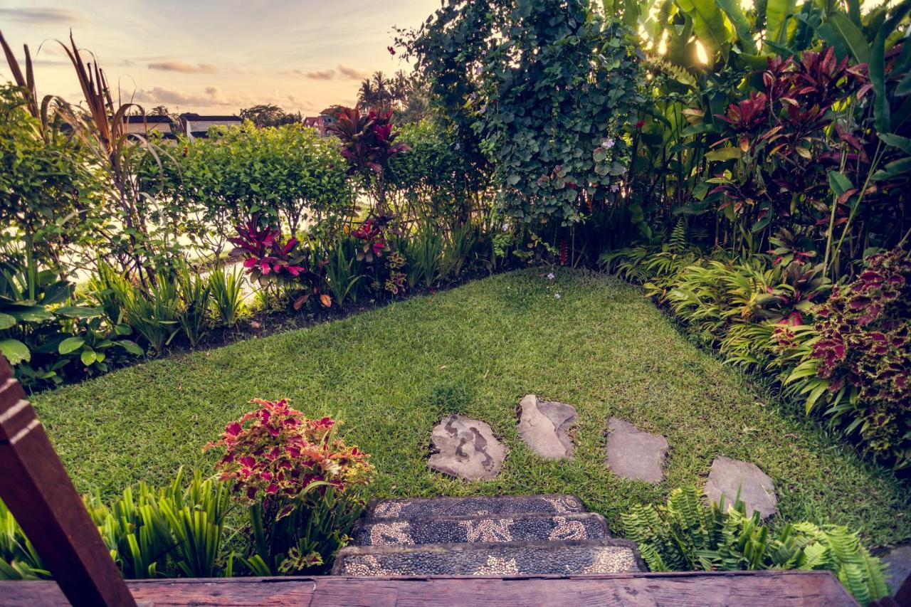 Dragonfly Village Ubud  Ngoại thất bức ảnh