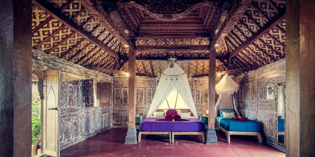 Dragonfly Village Ubud  Ngoại thất bức ảnh