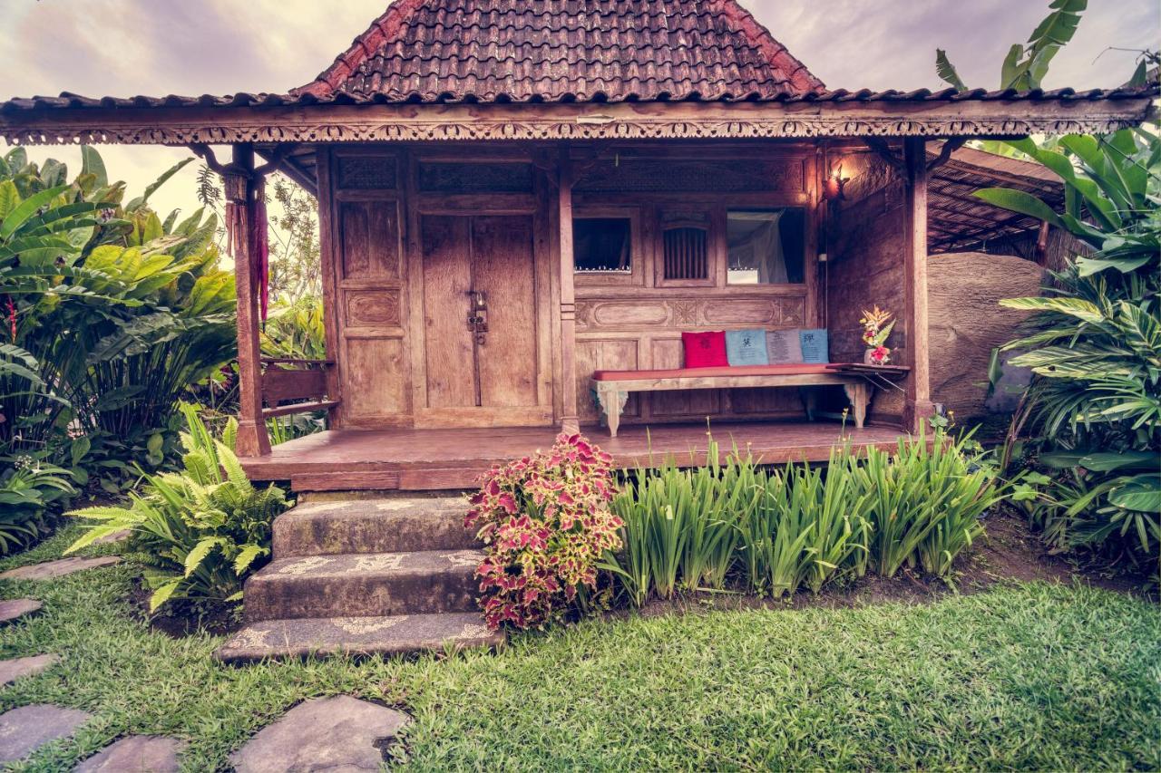 Dragonfly Village Ubud  Ngoại thất bức ảnh