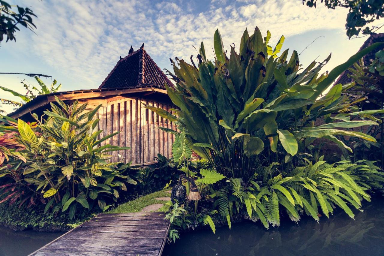 Dragonfly Village Ubud  Ngoại thất bức ảnh