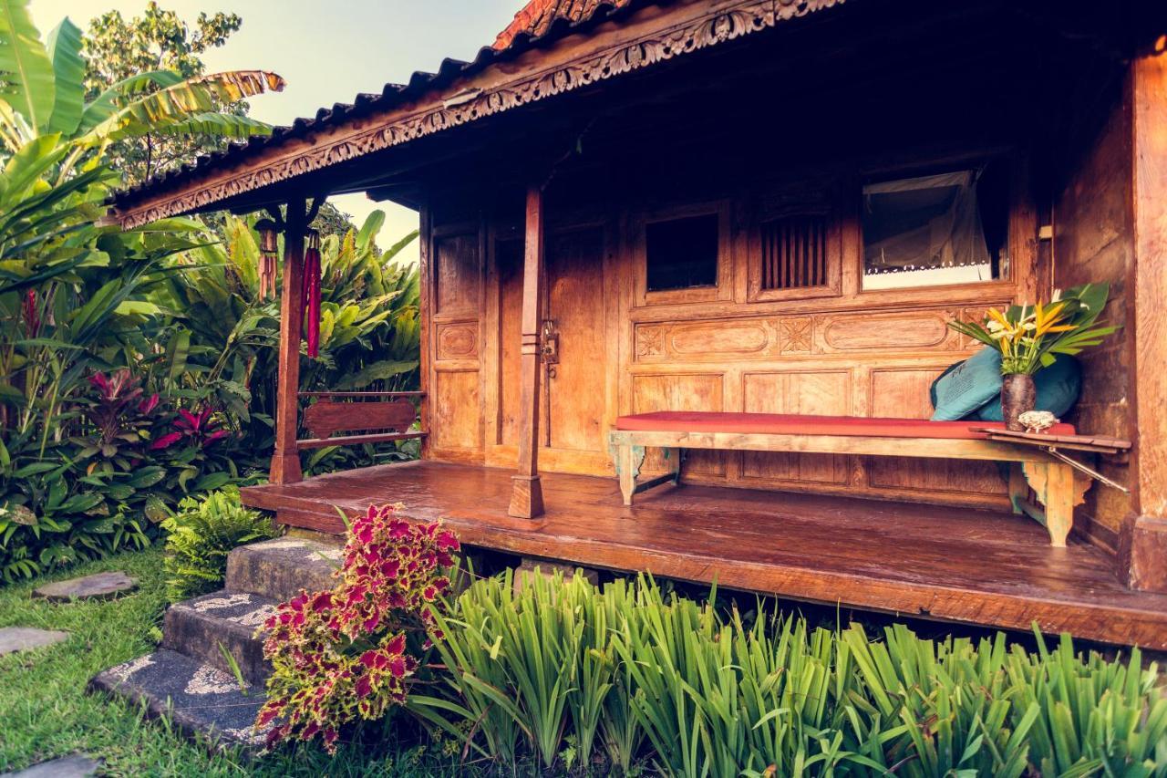 Dragonfly Village Ubud  Ngoại thất bức ảnh