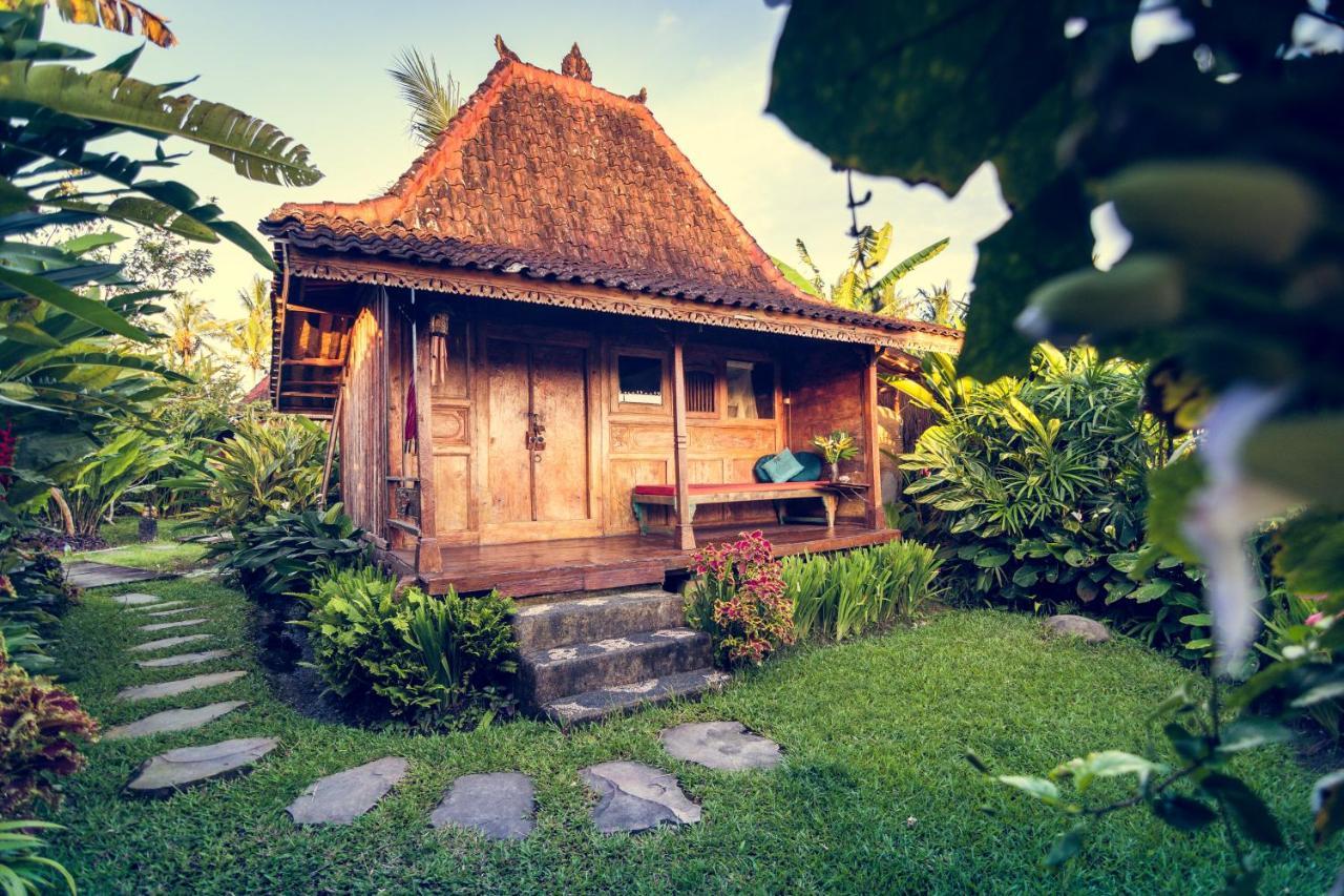 Dragonfly Village Ubud  Ngoại thất bức ảnh