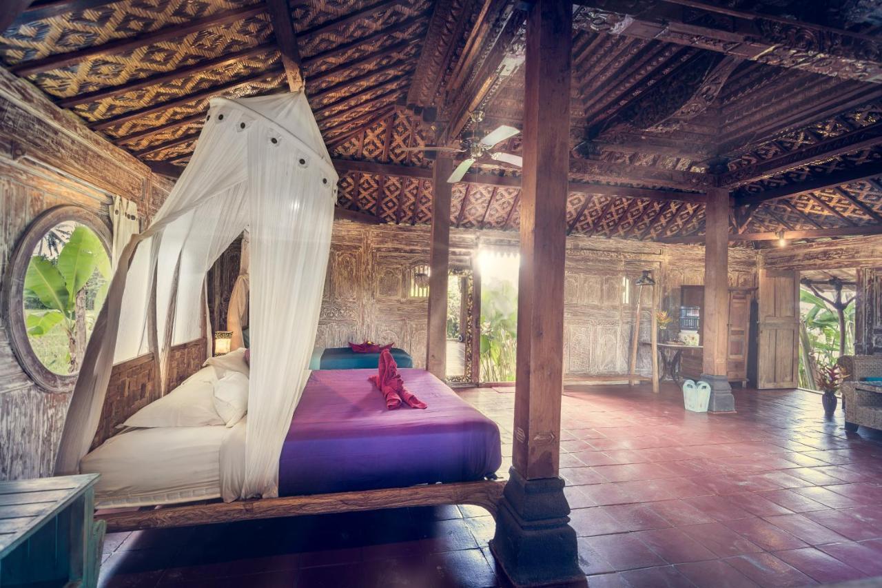 Dragonfly Village Ubud  Ngoại thất bức ảnh