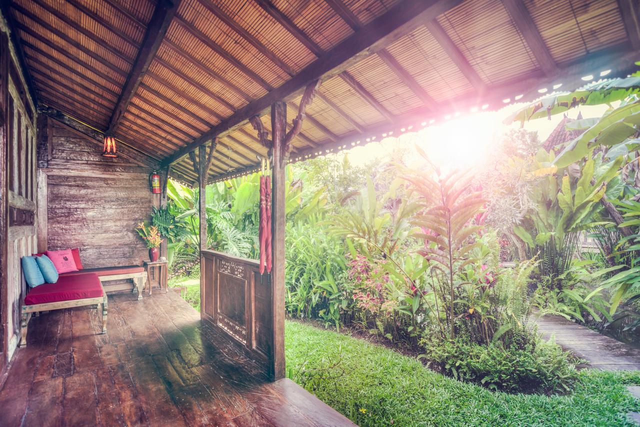 Dragonfly Village Ubud  Ngoại thất bức ảnh