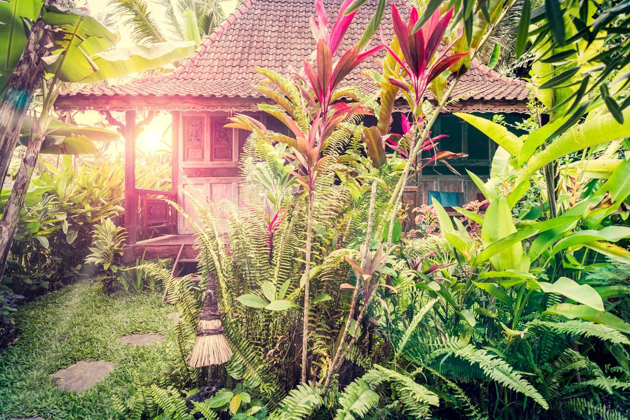 Dragonfly Village Ubud  Ngoại thất bức ảnh