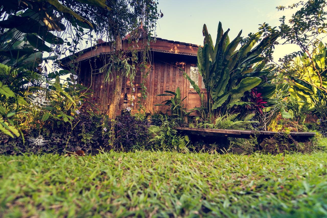 Dragonfly Village Ubud  Ngoại thất bức ảnh