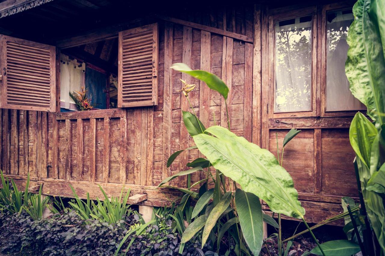Dragonfly Village Ubud  Ngoại thất bức ảnh
