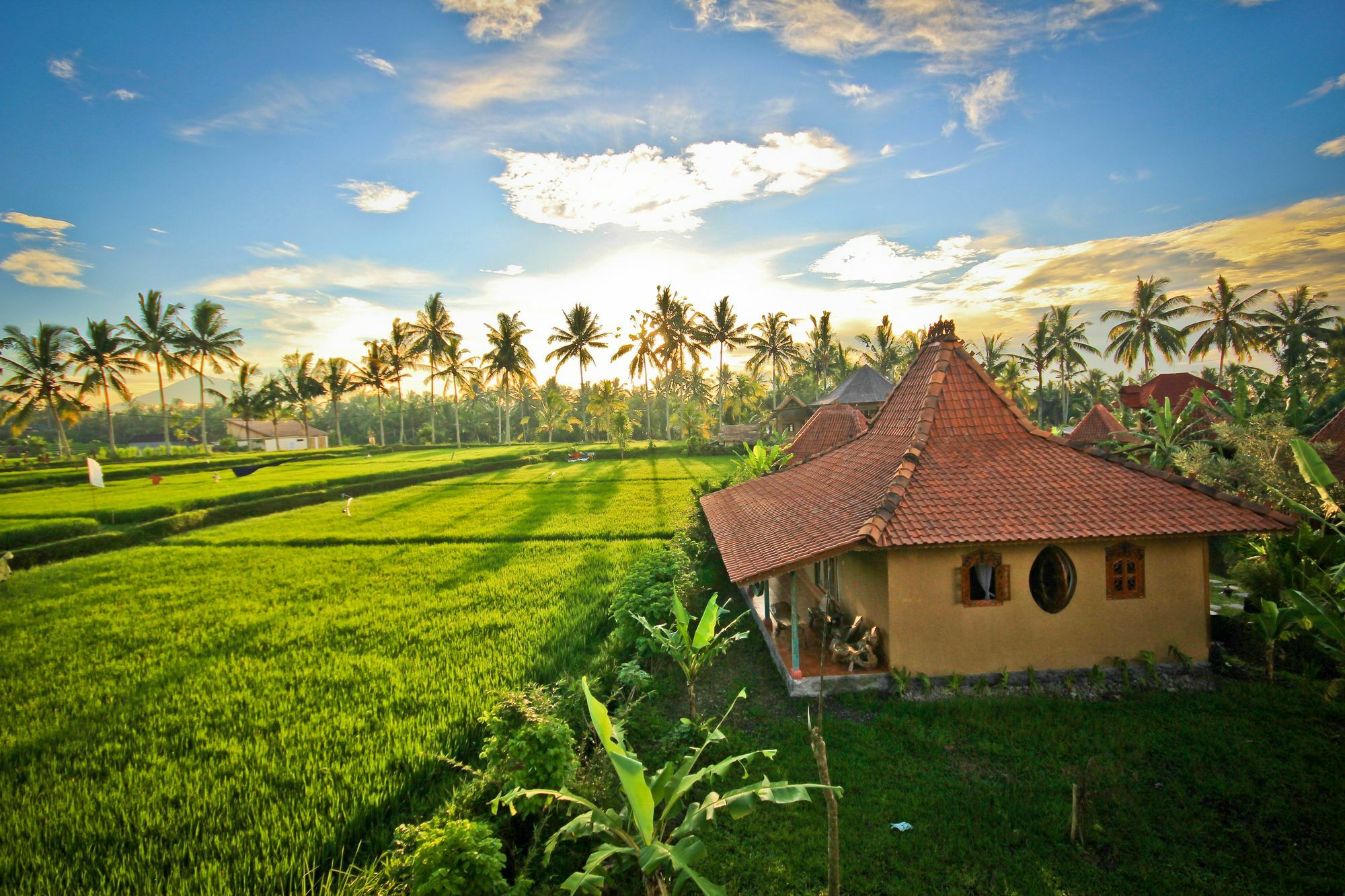 Dragonfly Village Ubud  Ngoại thất bức ảnh